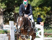 Cellini Dear Vinc GioCav2013 S6 7431 : Campionati Italiani Giovani Cavalli, Cattolica, Cellini Luigi, Dear Vinc, ph Stefano Secchi ©